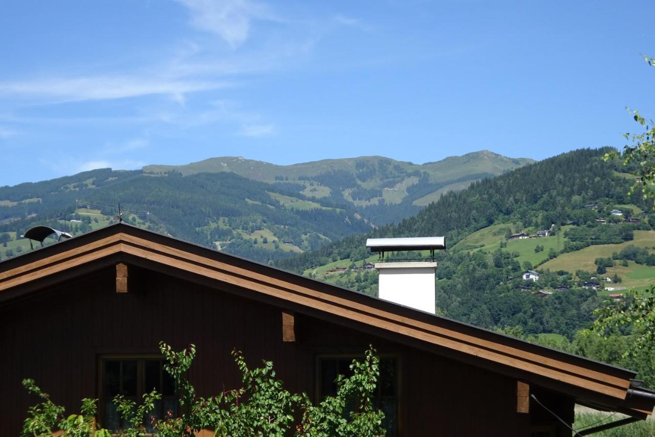 Ferienwohnung Appartement Am Schilf Xl Zell am See Exterior foto
